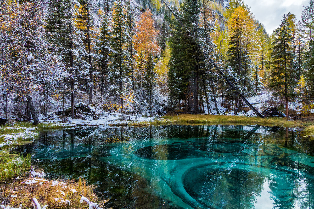 Гейзерное озеро алтай фото